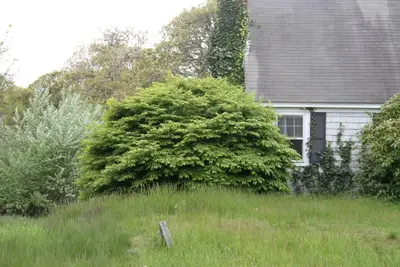 1761 Main Street, Chatham MA