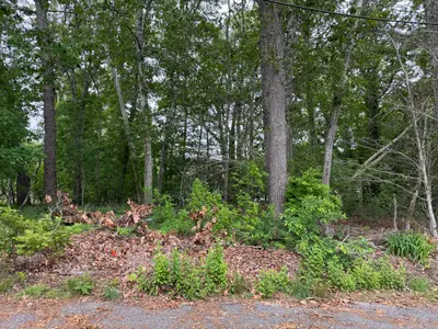 11 Lane Road