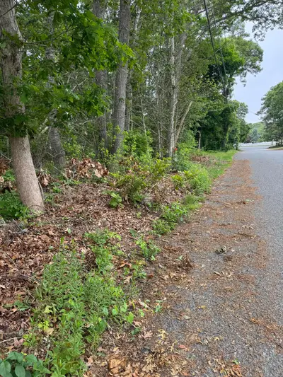 11 Lane Road, Dennis MA — view 2