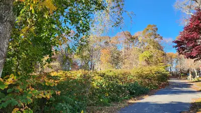 27 Angus Avenue, Yarmouth MA — view 3