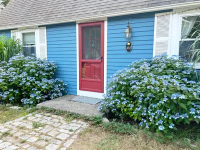 337 Jonathans Way, Brewster MA — view 5