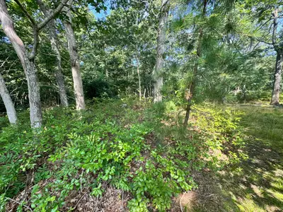 7 Highland Avenue, Vineyard Haven MA — view 4