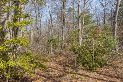 39 John Ewer Road, Sandwich MA — view 3