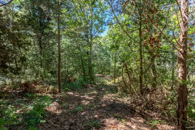 Partridge Circle, Brewster MA — view 5