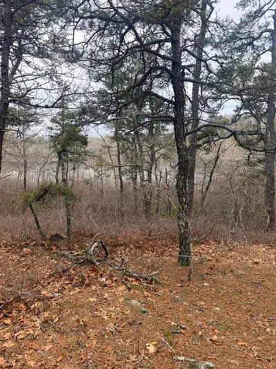 60 Perch Pond Way, Wellfleet MA — view 2