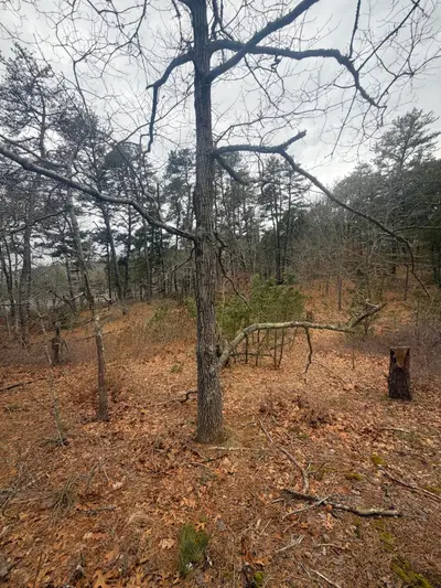 60 Perch Pond Way, Wellfleet MA — view 4