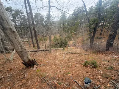 60 Perch Pond Way, Wellfleet MA — view 5
