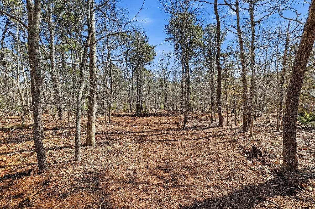 Old Long Pond Road, Brewster MA — view 2