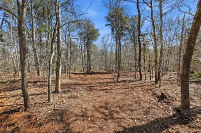 Old Long Pond Road, Brewster MA — view 2