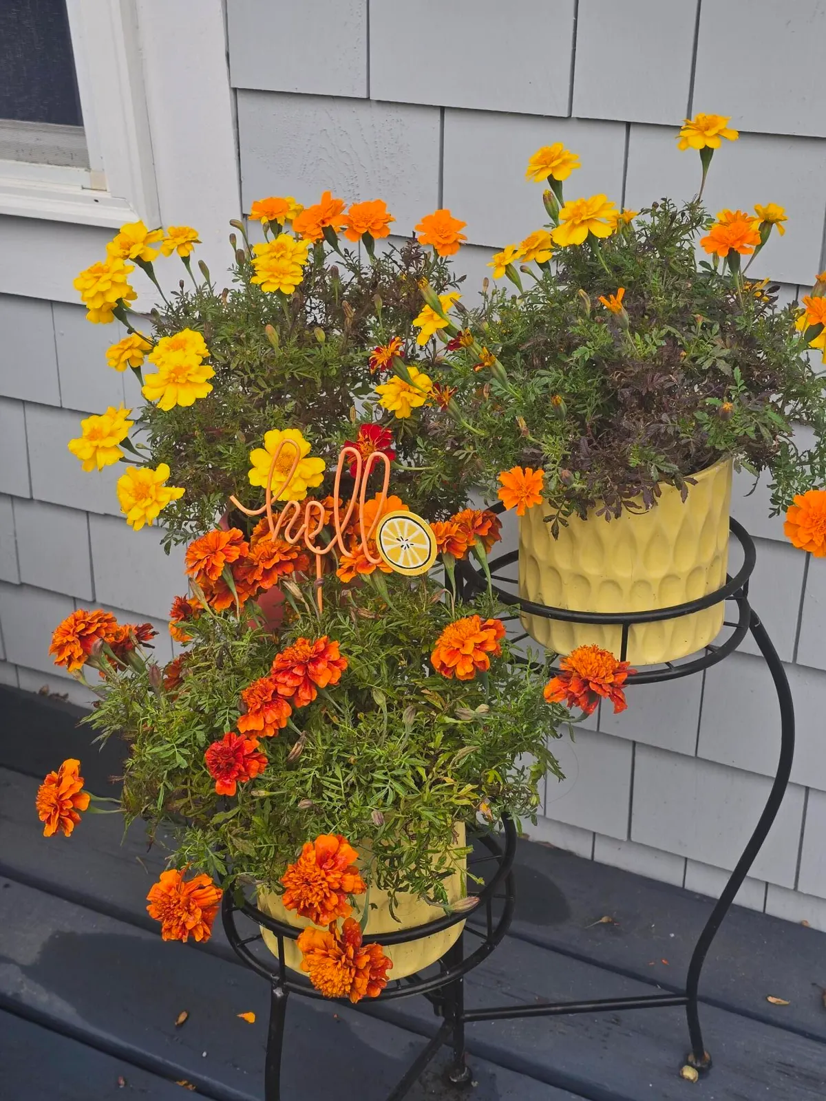 292 Route 28, Unit 7, Harwich MA — view 4