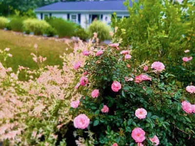 25 Frances Helen Road, Yarmouth MA — view 3