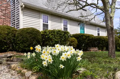 98 Sheep Pond Drive, Brewster MA — view 4