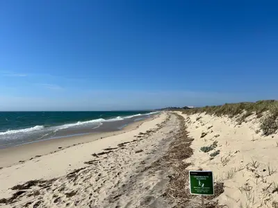 10 Benson Lane, Truro MA — view 2