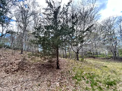 51 Forest Pines Drive, Dennis MA — view 3