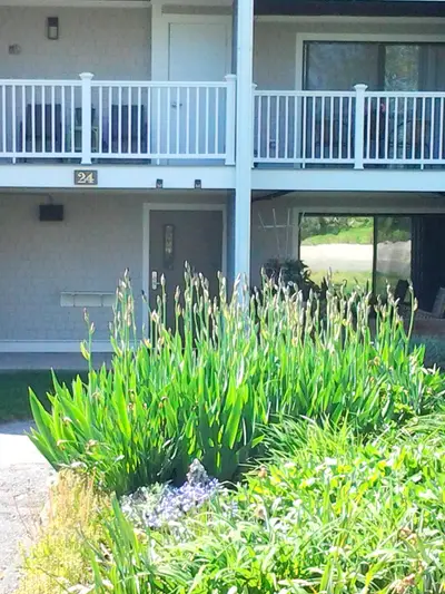24 Old Colony Way, Unit Apt 19, Orleans MA