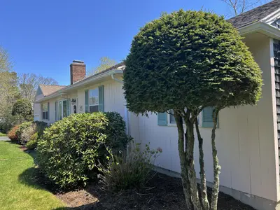 27 Cherub Lane, Yarmouth MA — view 4