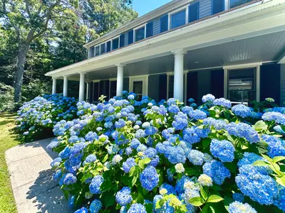 744 Old Barnstable Road, Mashpee MA — view 4