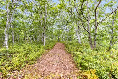 35a Higgins Hollow Road, Truro MA — view 5