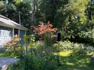 1945 Main Street, Barnstable MA — view 5
