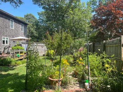 323 County Road, Oak Bluffs MA — view 4