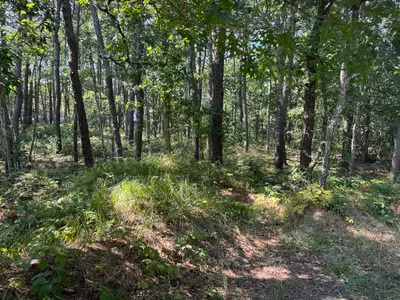 120 N Westgate Road, Harwich MA — view 4