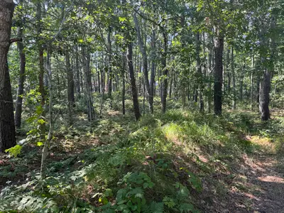 120 N Westgate Road, Harwich MA — view 5