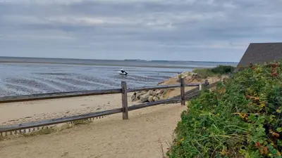 450 Quason Drive, Eastham MA — view 5