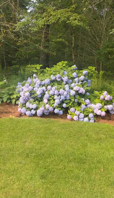 15 Tobisset Street, Mashpee MA — view 5
