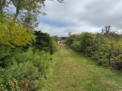 45 Shore Road, Eastham MA — view 2