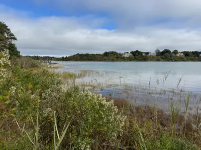 45 Shore Road, Eastham MA — view 5
