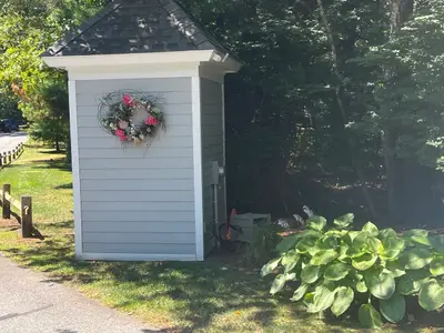 10 Shadbush, Mashpee MA — view 3