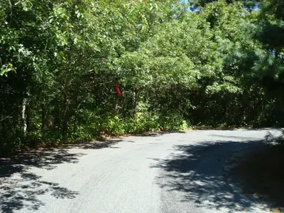 44 Iris, Barnstable MA — view 4