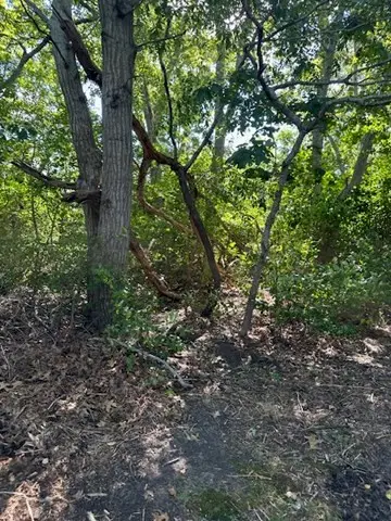 Kens Way, Yarmouth MA — view 2