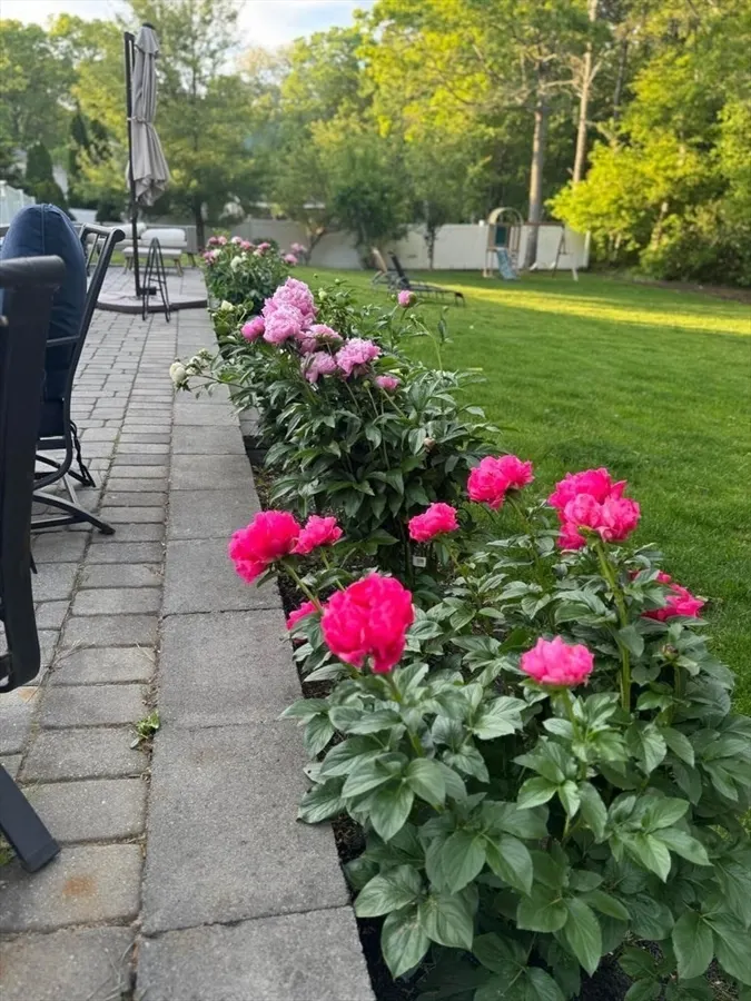 80 Coolidge Road, Yarmouth MA — view 4