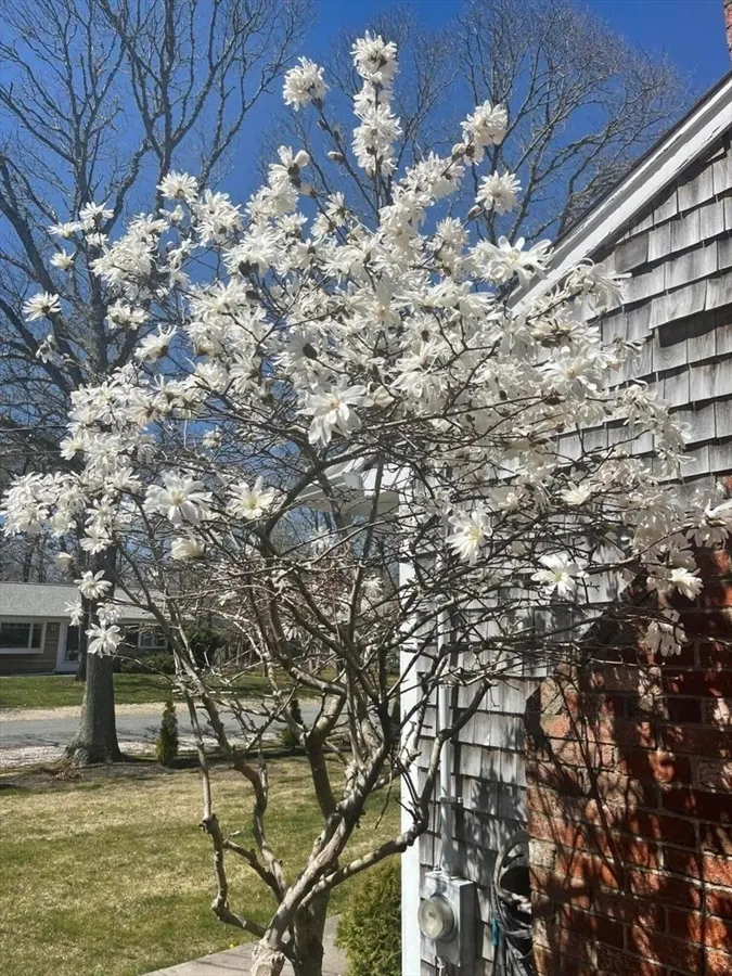 80 Coolidge Road, Yarmouth MA — view 5