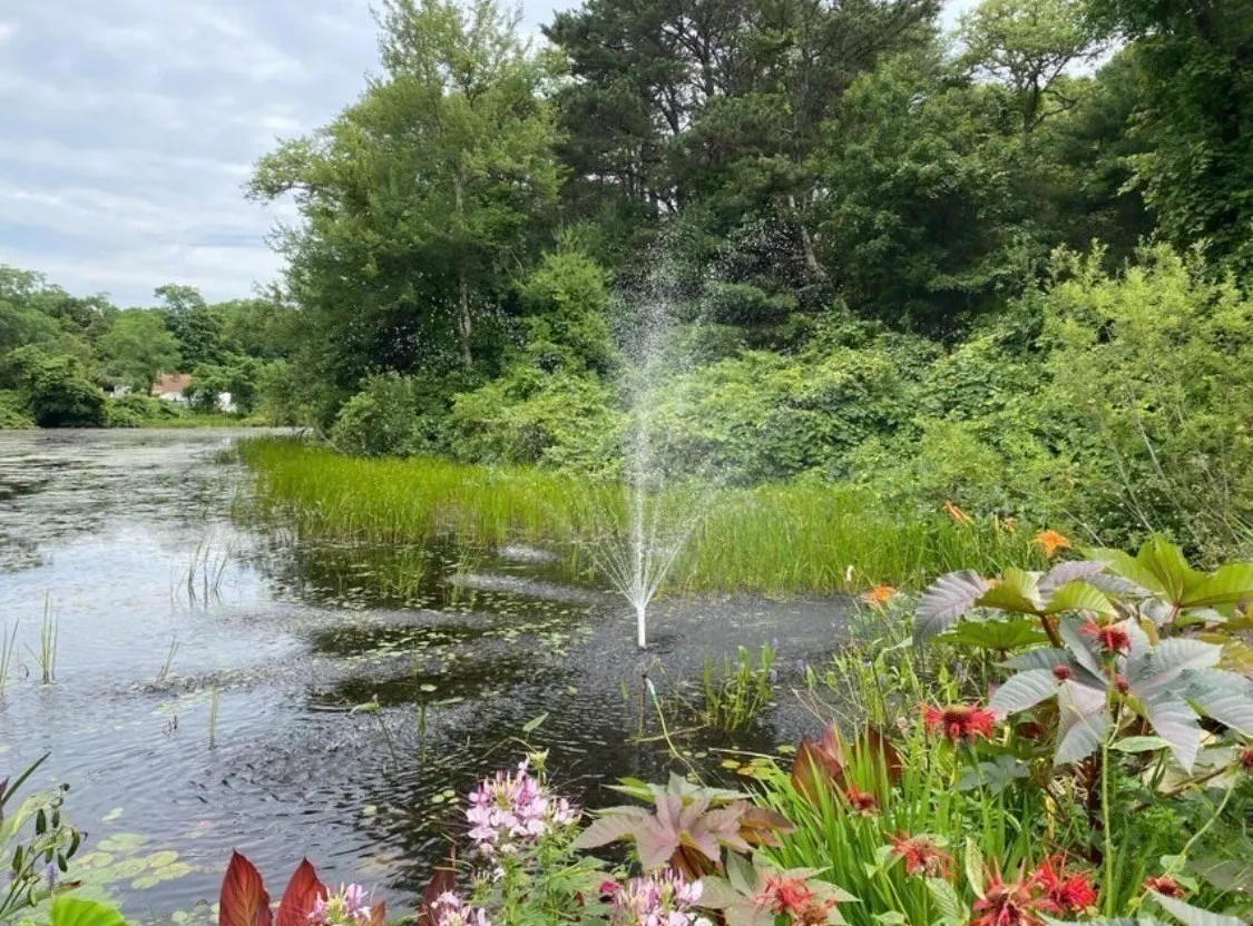 8 Scraggy Neck Road Extension, Bourne MA — view 5