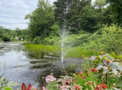 8 Scraggy Neck Road Extension, Bourne MA — view 5
