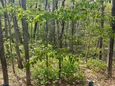 45 Fox Hill Road