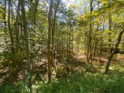 45 Fox Hill Road, Mashpee MA — view 2