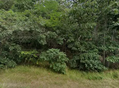 415 Cove Road, Wellfleet MA