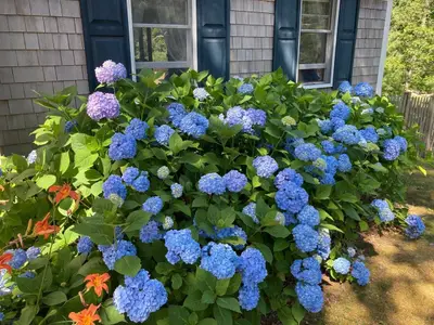38 Shorewood Drive, Orleans MA — view 2
