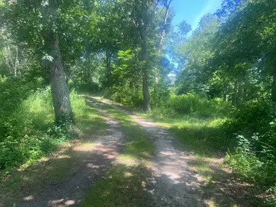 11 Freeman Lane, Bourne MA — view 3