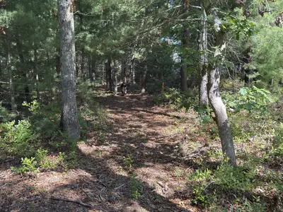 202 Ashumet Road, Falmouth MA — view 3