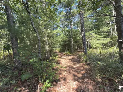 202 Ashumet Road, Falmouth MA — view 5