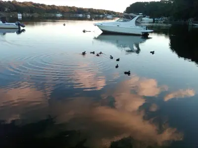 241 Seaward Bend, Falmouth MA — view 4