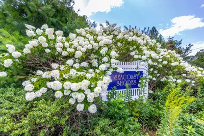 8 Hampden Road, Falmouth MA — view 4