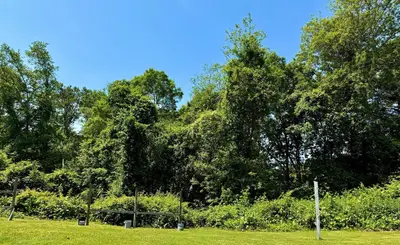 0 (lot 28) Sandwich, Falmouth MA — view 2