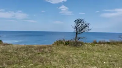245 Nauset Light Beach Road, Eastham MA
