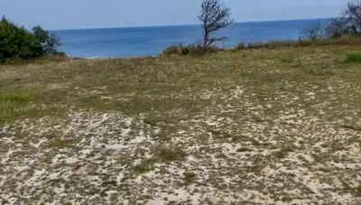 245 Nauset Light Beach Road, Eastham MA — view 2