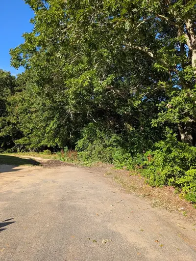 Lot 2-b Pondview Avenue